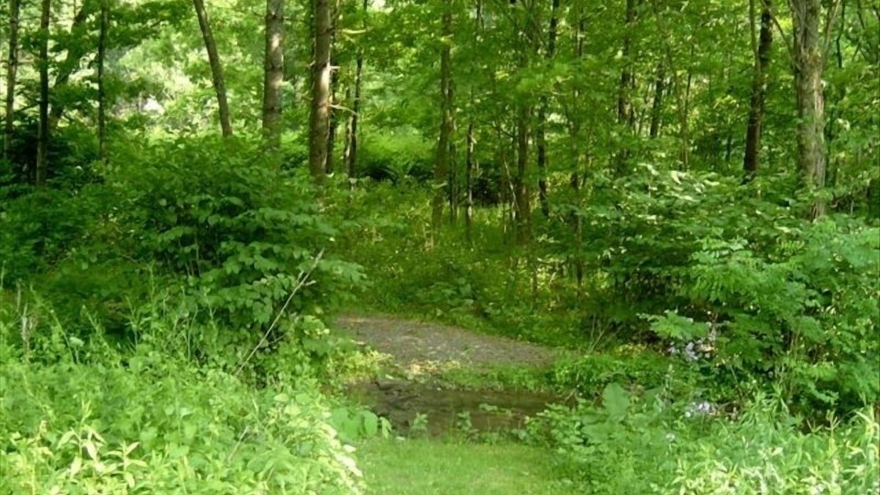 Photo of Others in Chichester