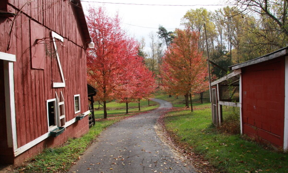 Photo of Others in Warrenton