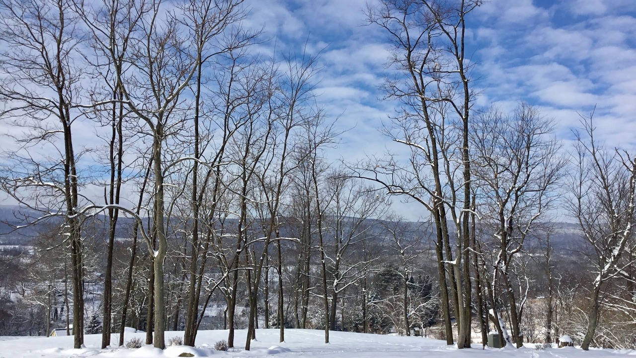 Photo of Outdoor in Hillsboro