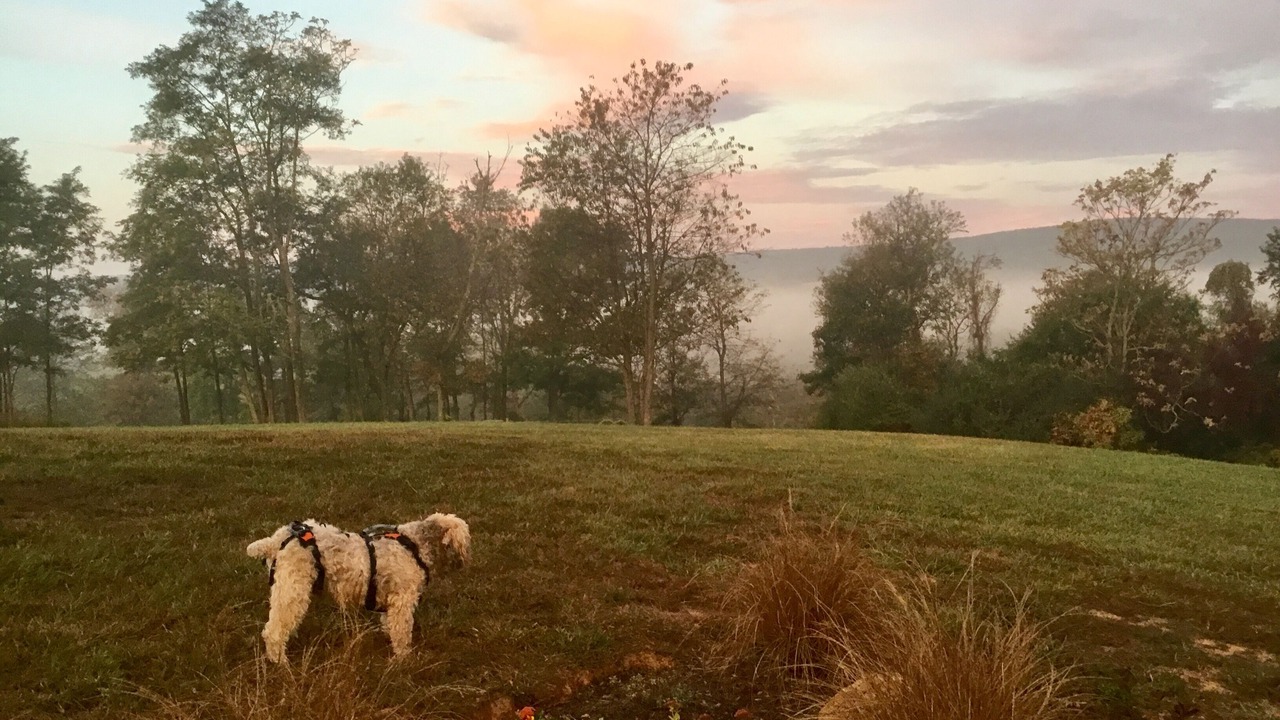 Photo of Outdoor in Hillsboro