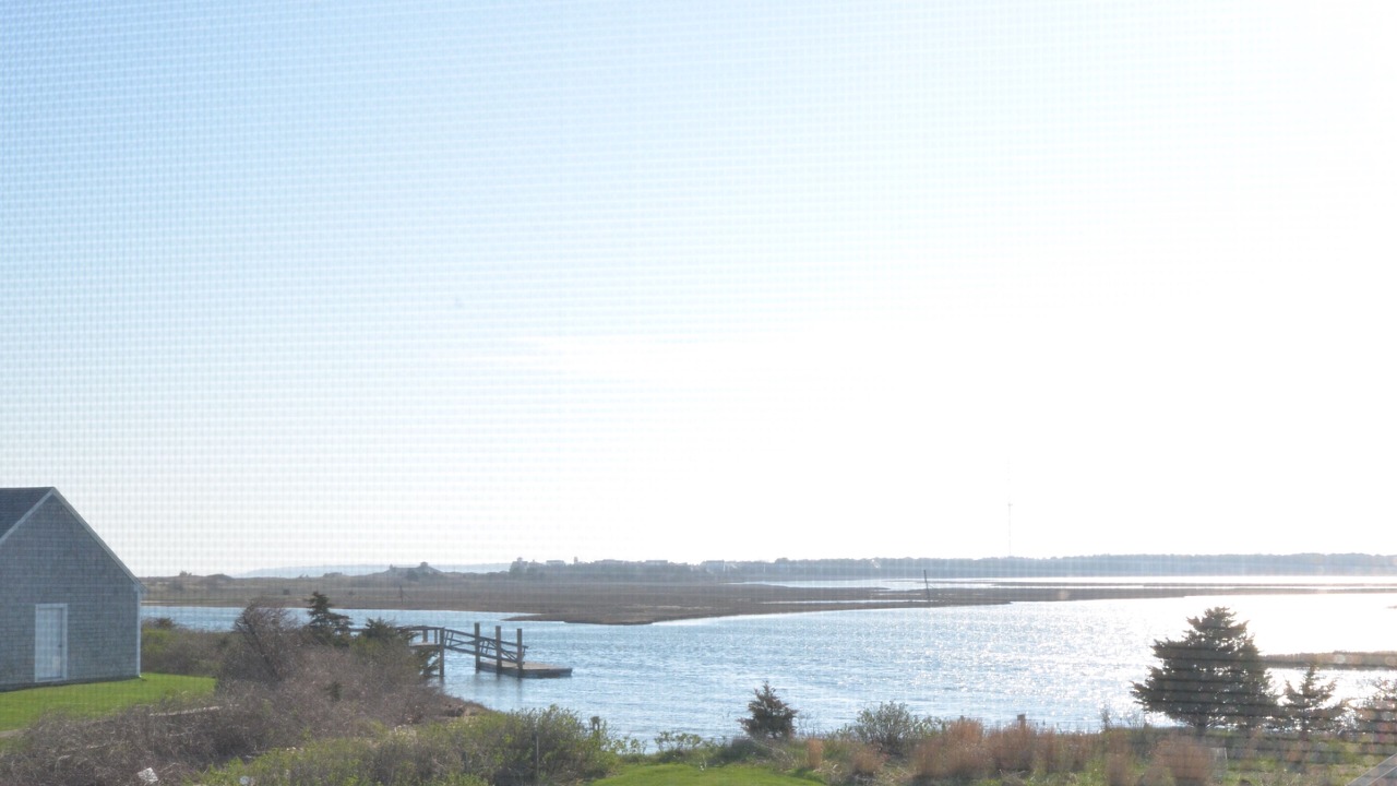 Photo of Others in South Yarmouth