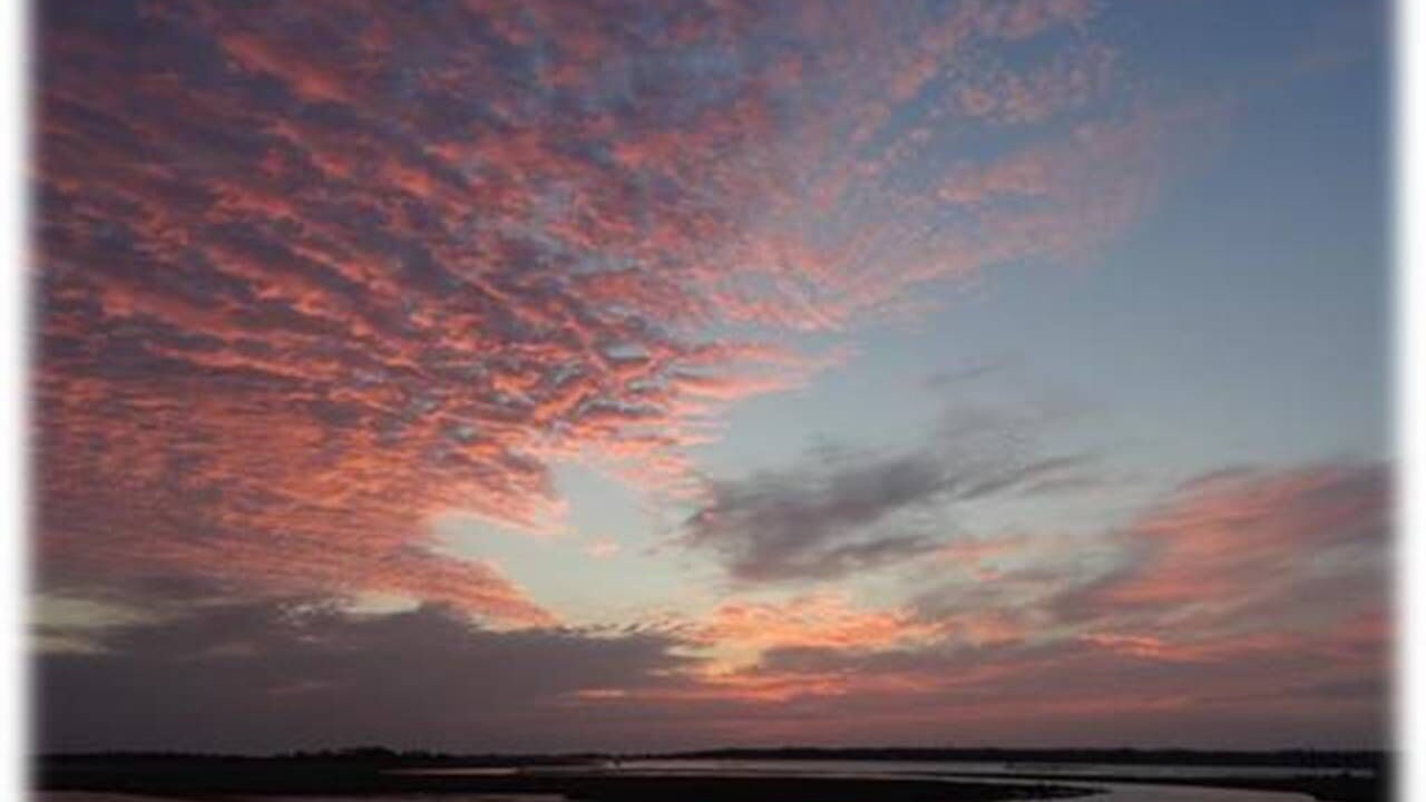 Photo of Others in Chincoteague