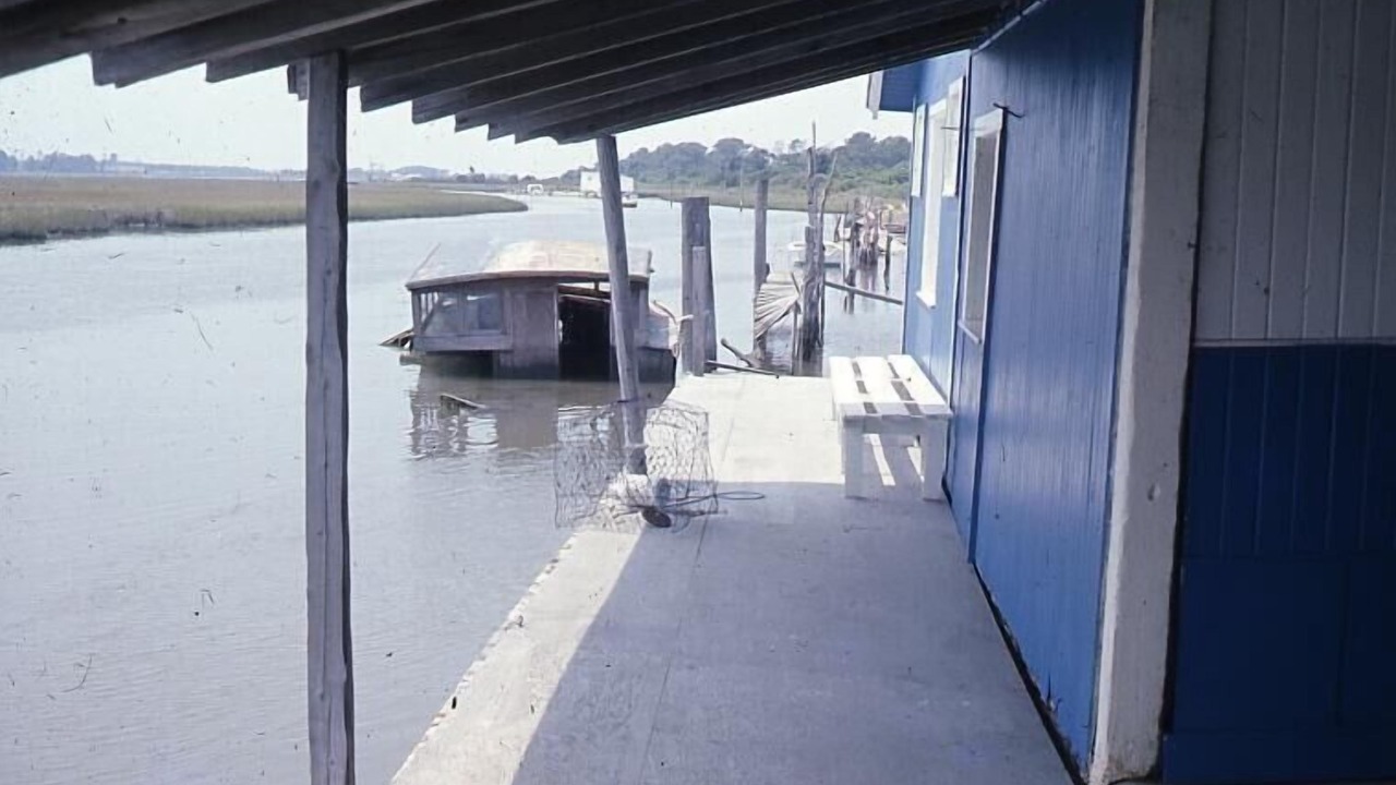 Photo of Others in Chincoteague
