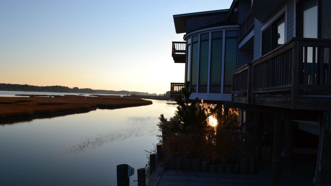 Photo of Others in Chincoteague