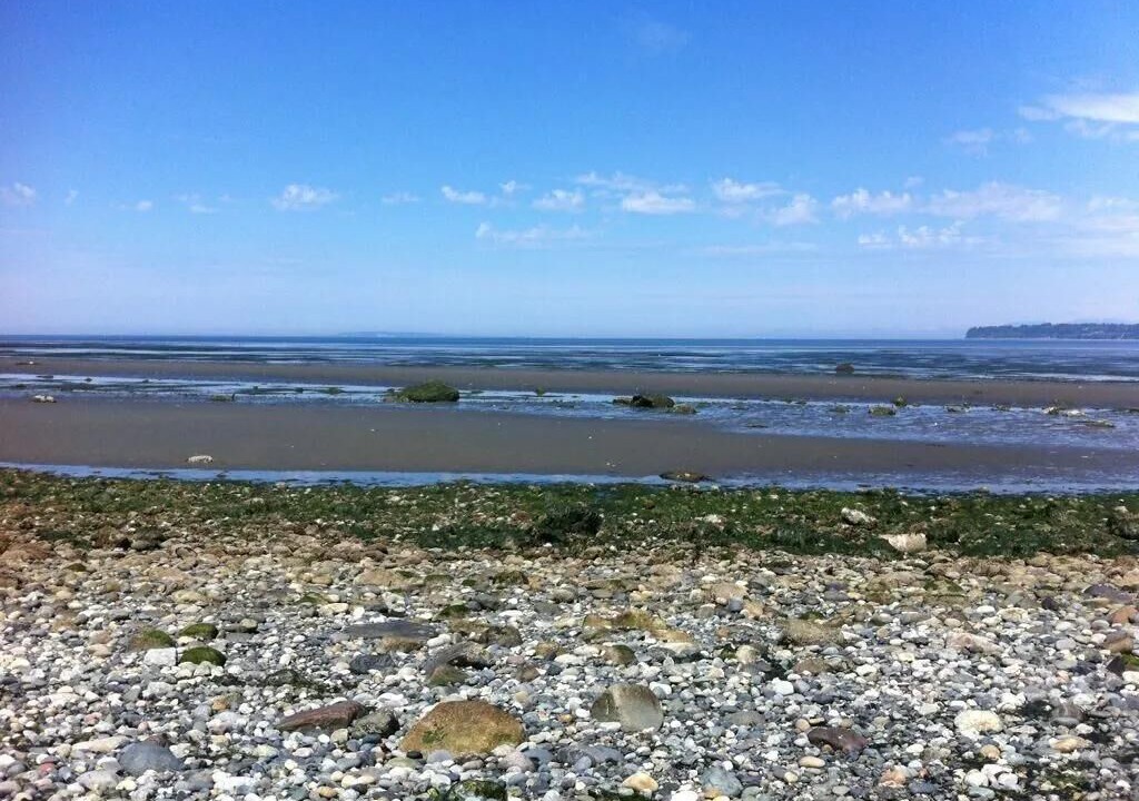 Photo of Others in Birch Bay