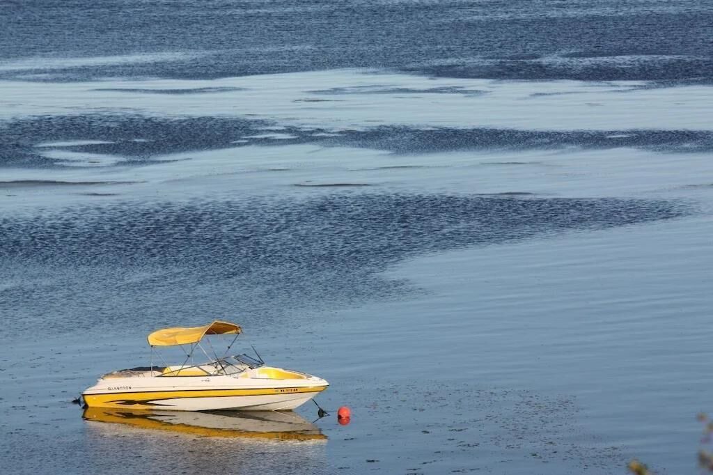 Photo of Others in Birch Bay