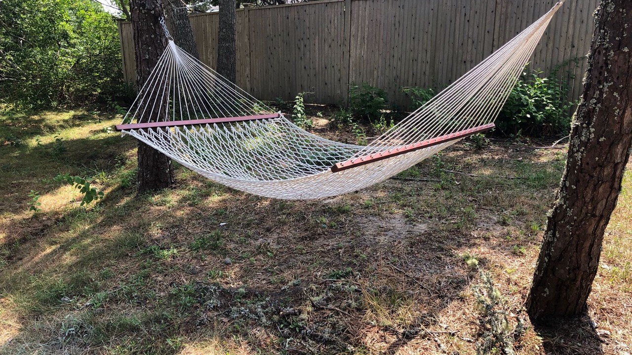 Photo of Outdoor in South Chatham