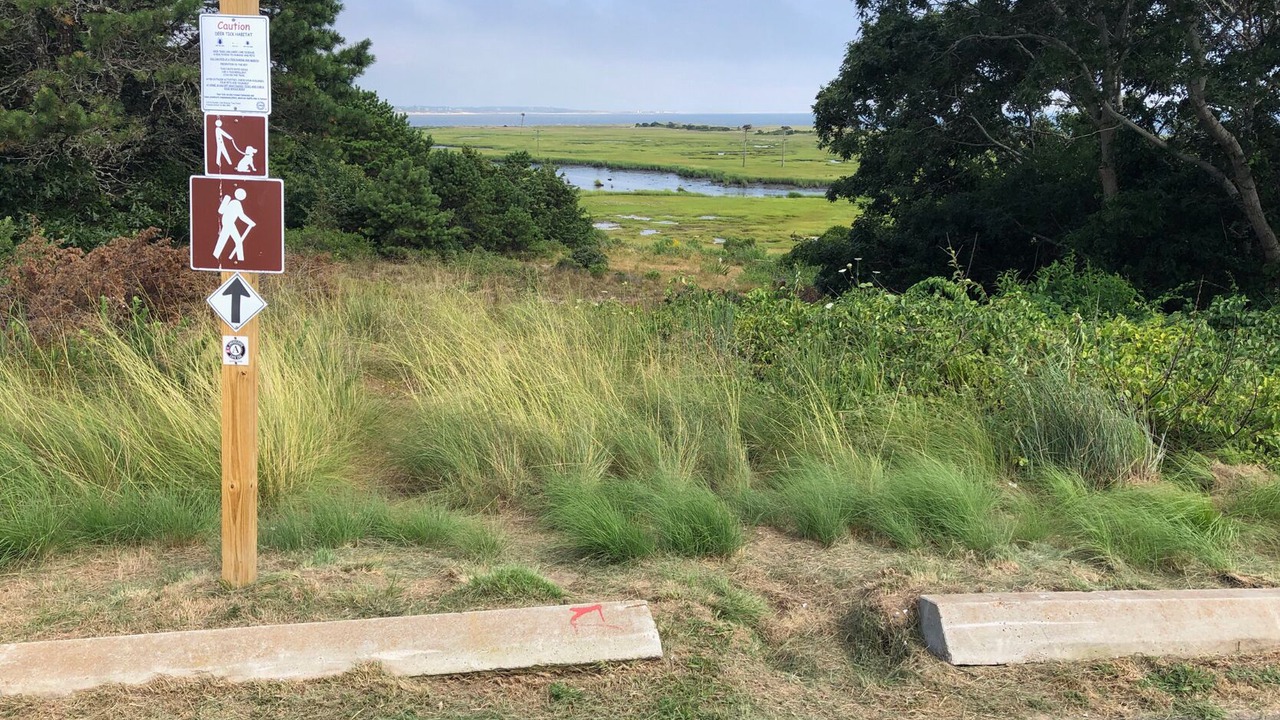 Photo of Outdoor in South Chatham
