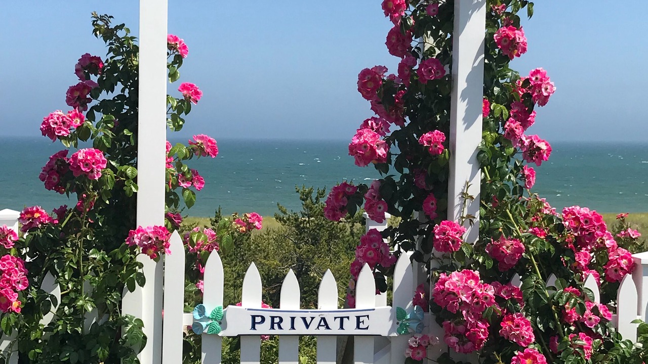Photo of Others in Nantucket Town