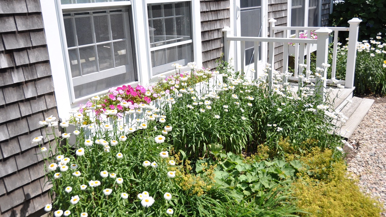 Photo of Others in Nantucket Town