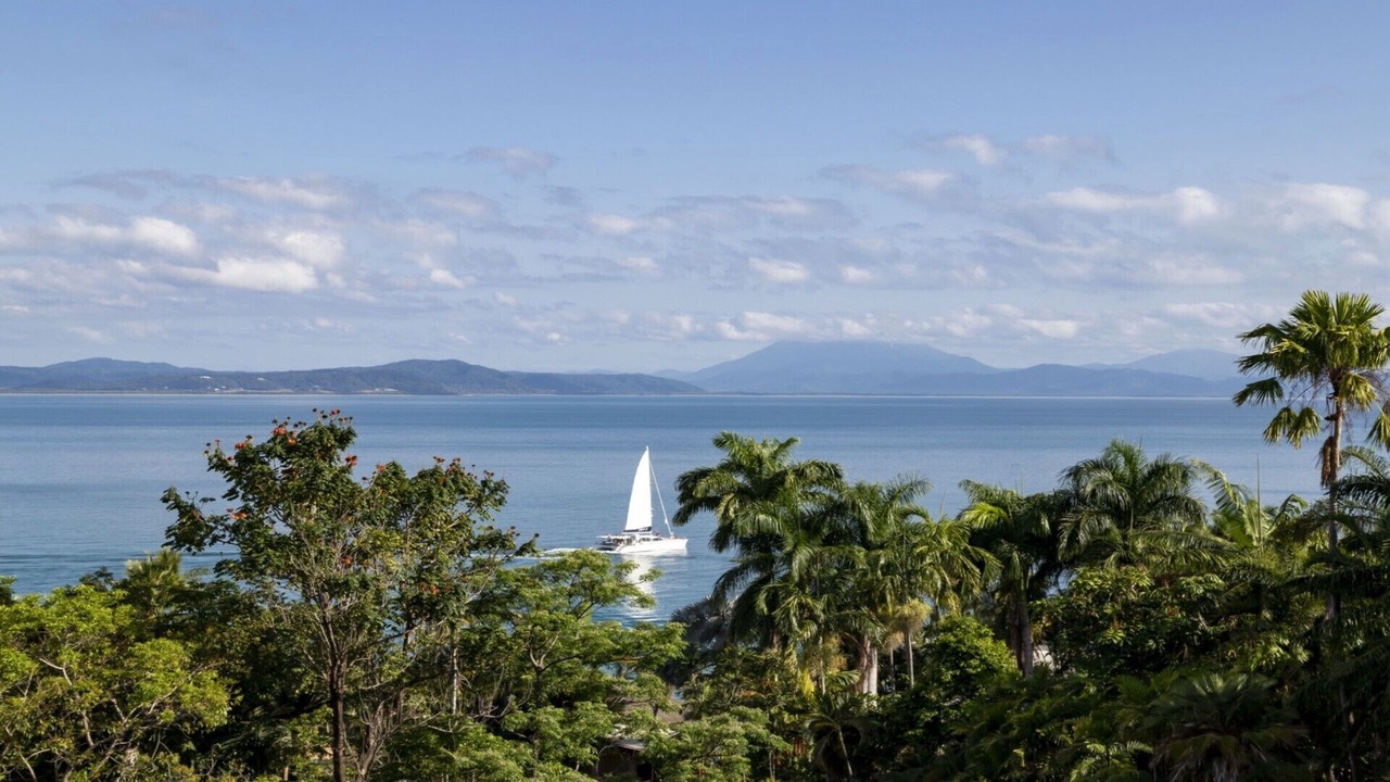 Photo of Others in Port Douglas