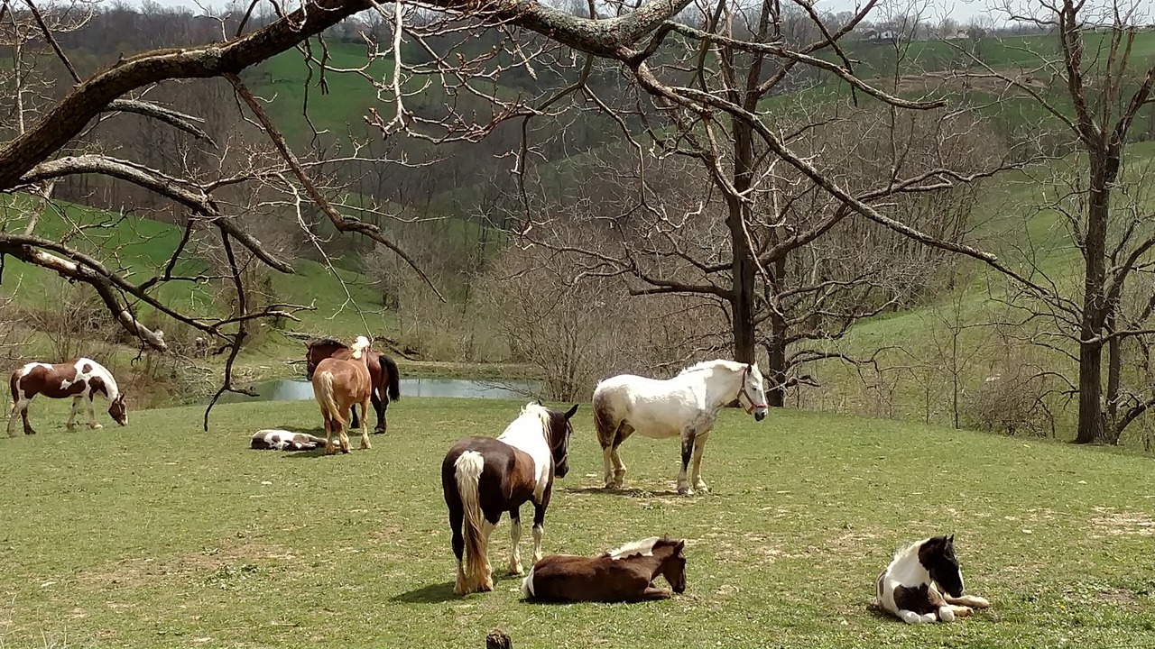 Photo of Outdoor in Williamstown