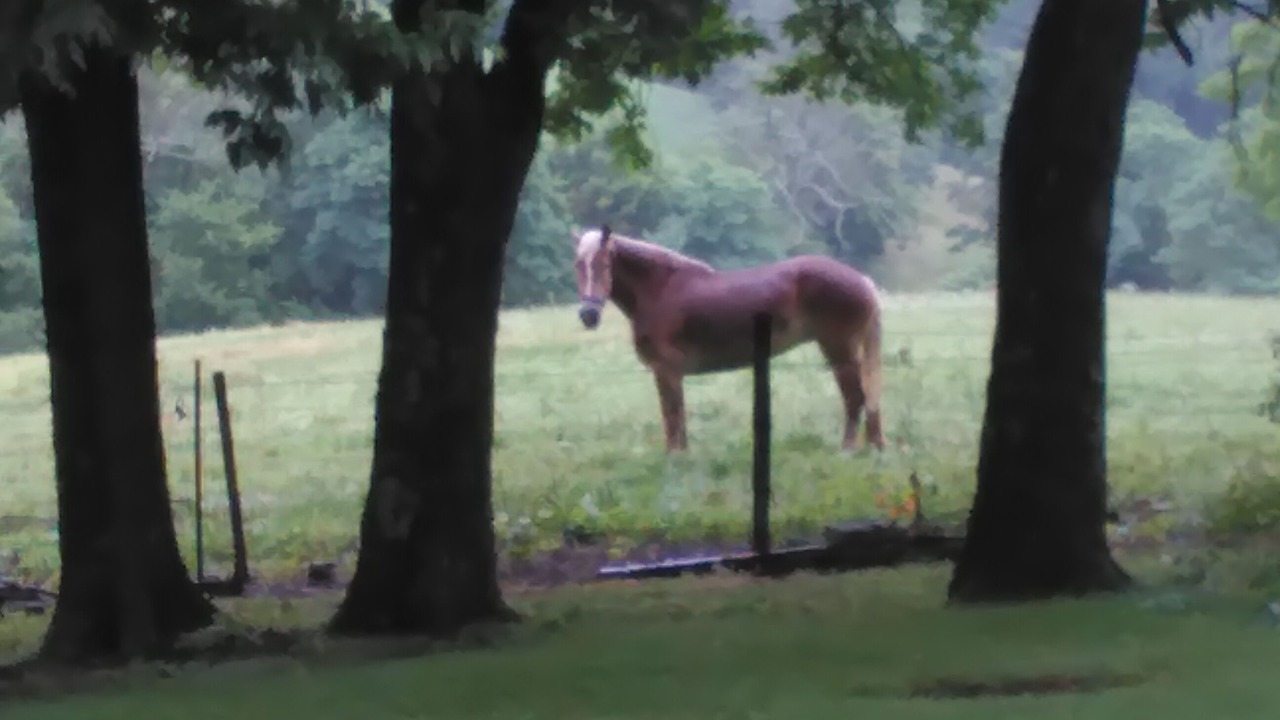 Photo of Outdoor in Williamstown