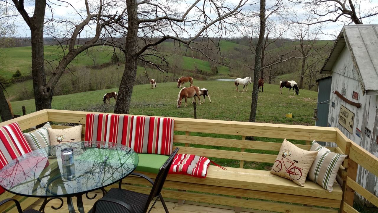 Photo of Outdoor in Williamstown