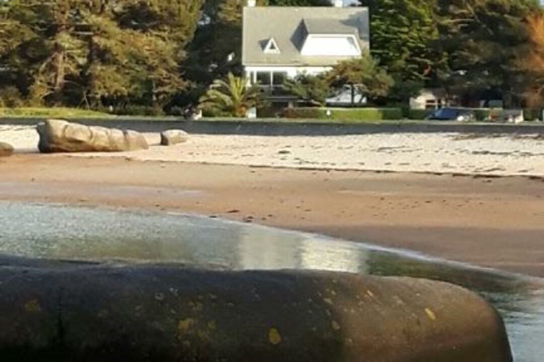 Photo of Others in Tregastel