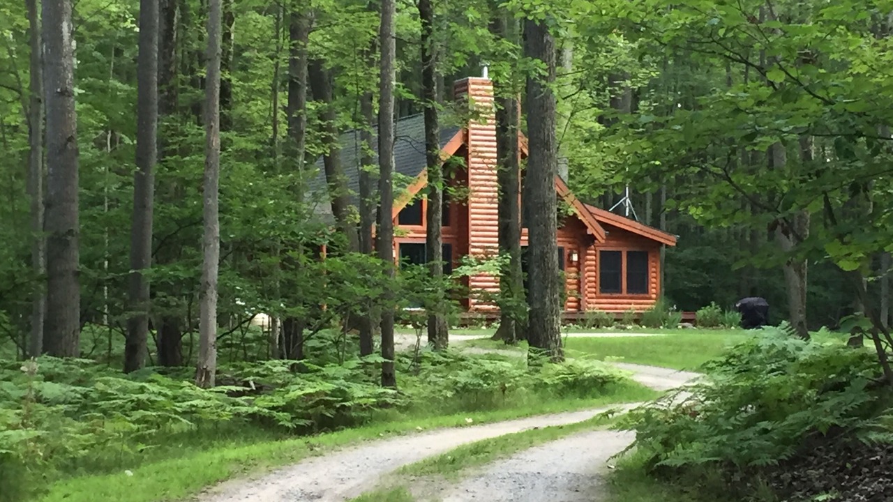 Photo of Outdoor in Farwell