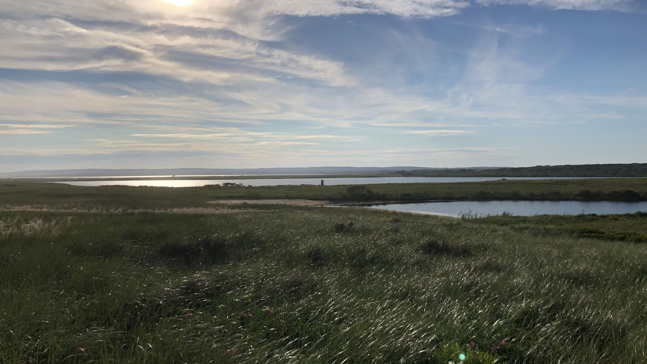 Photo of Others in West Tisbury