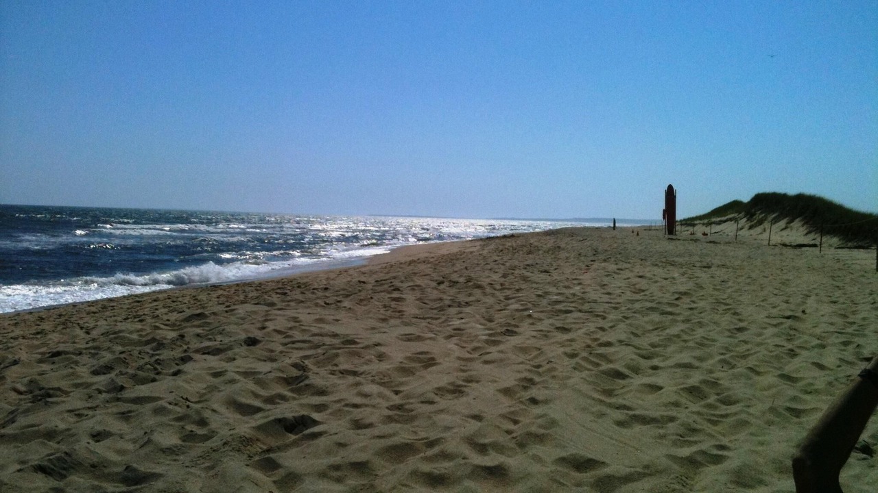 Photo of Others in West Tisbury