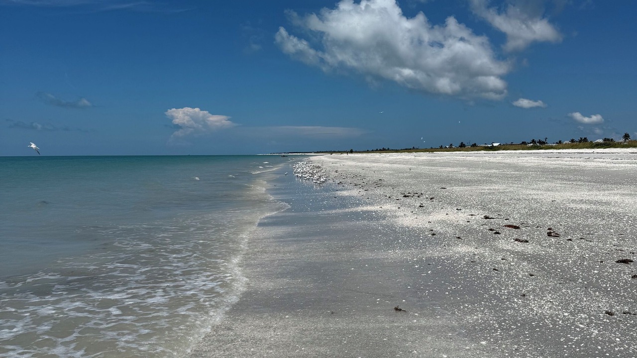 Photo of Others in Tradewinds