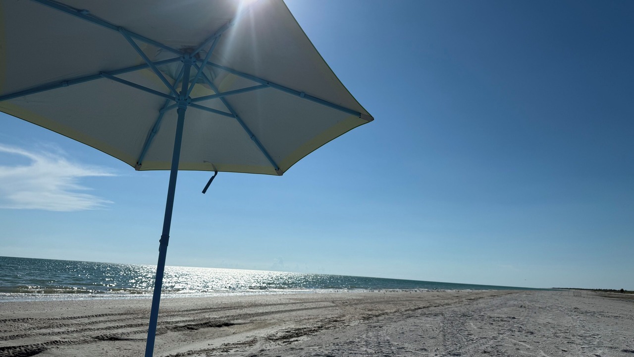 Photo of Others in Tradewinds