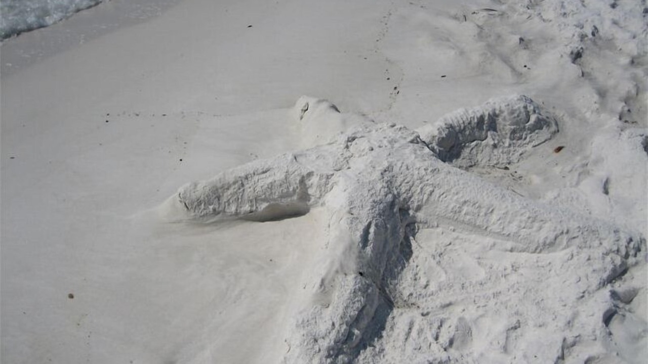 Photo of Others in Fort Walton Beach