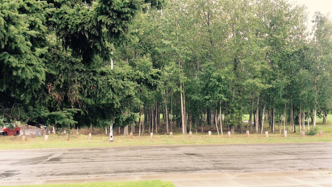 Photo of Others in Russian Jack Park