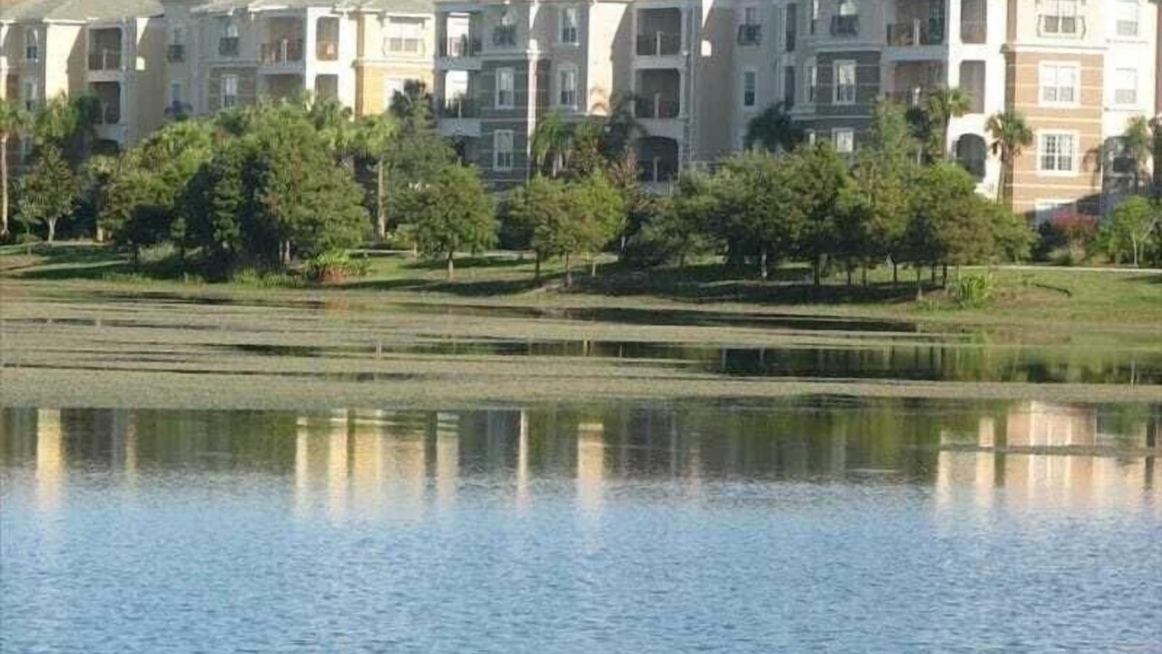 Photo of Outdoor in Florida Central Atlantic Coast