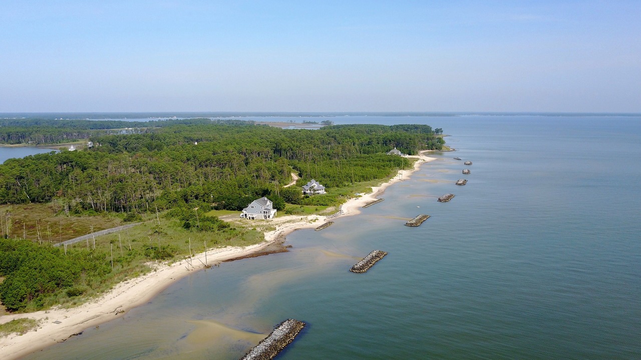 Photo of Others in Windmill Point