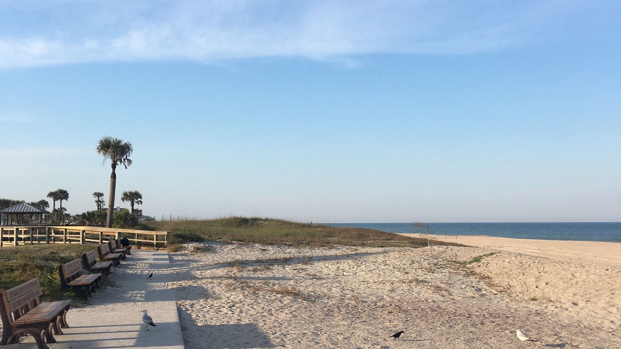 Photo of Others in Ocean Cay