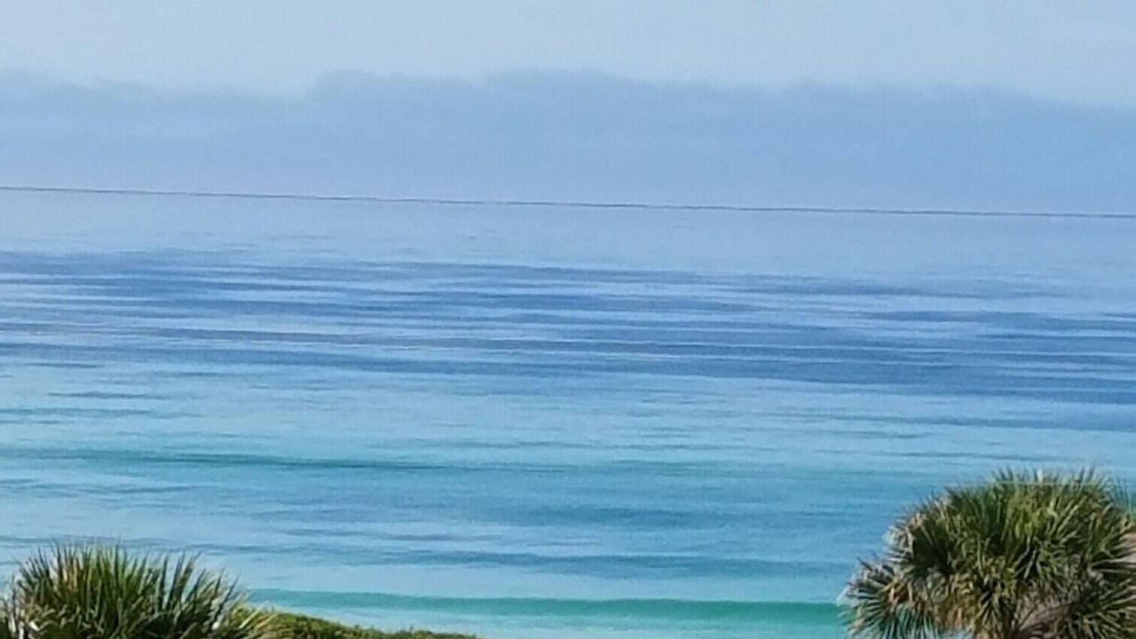 Photo of Others in Gulf Place