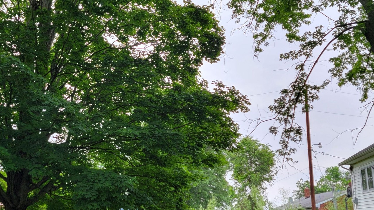 Photo of Outdoor in Williamstown