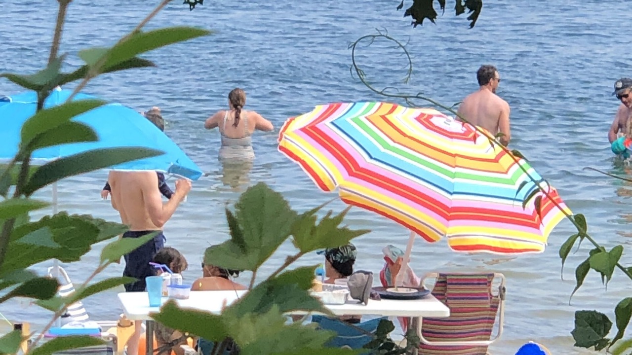 Photo of Others in Bass River