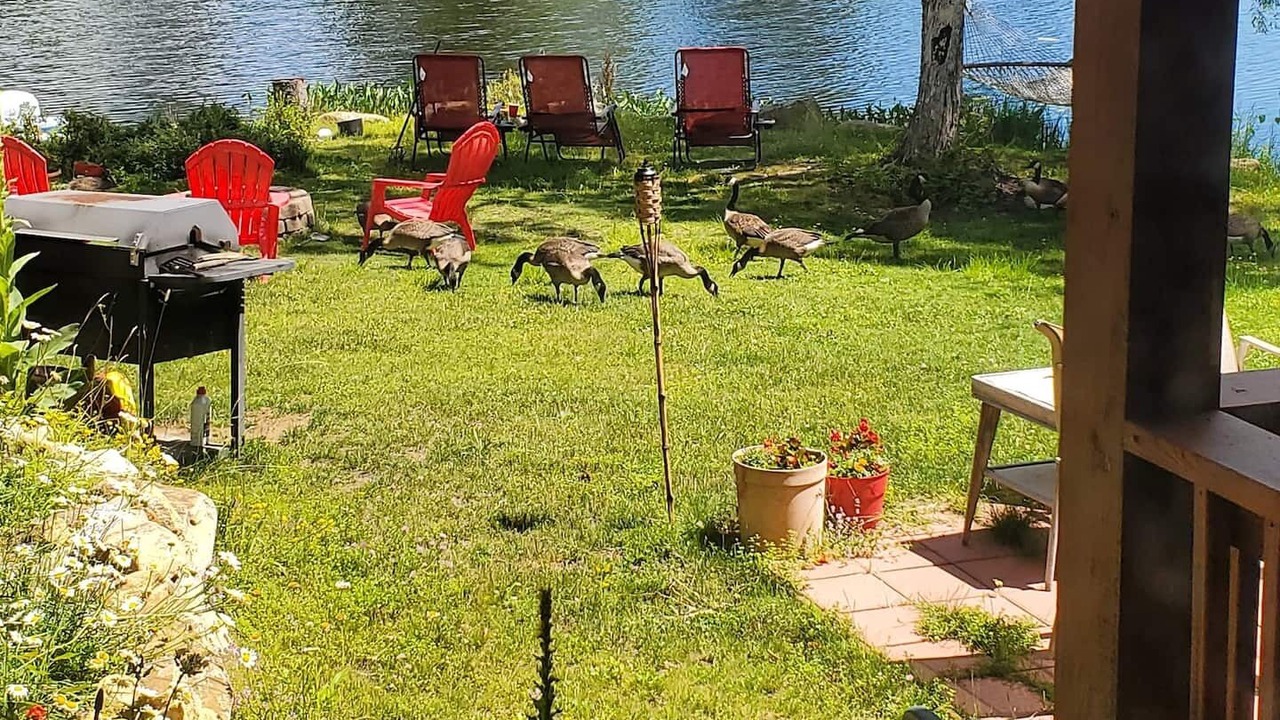 Photo of Outdoor in Indian Lake