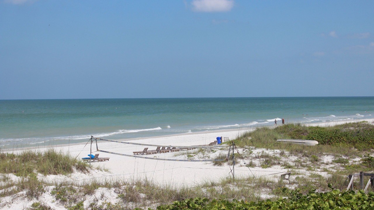 Photo of Others in Indian Rocks Beach