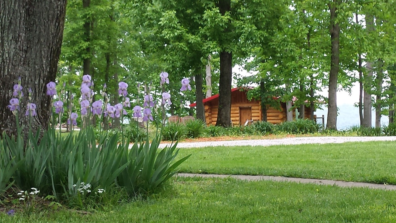 Photo of Others in Grantsburg