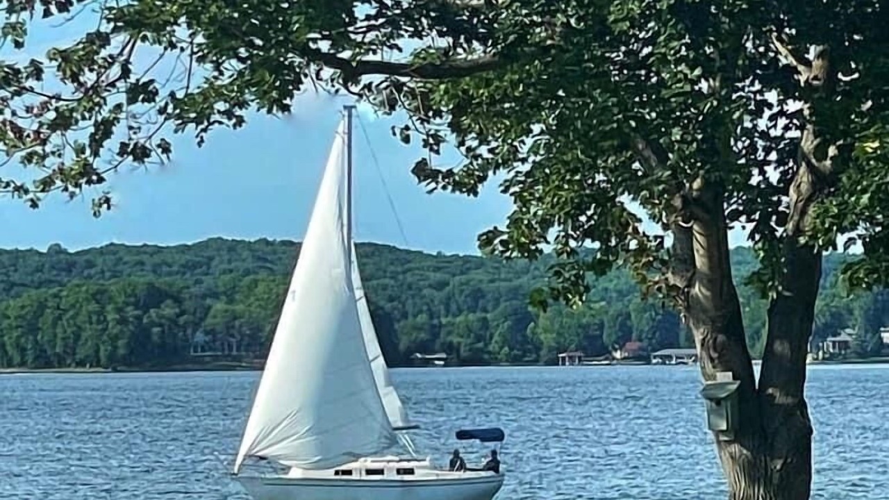 Photo of Others in North Shore