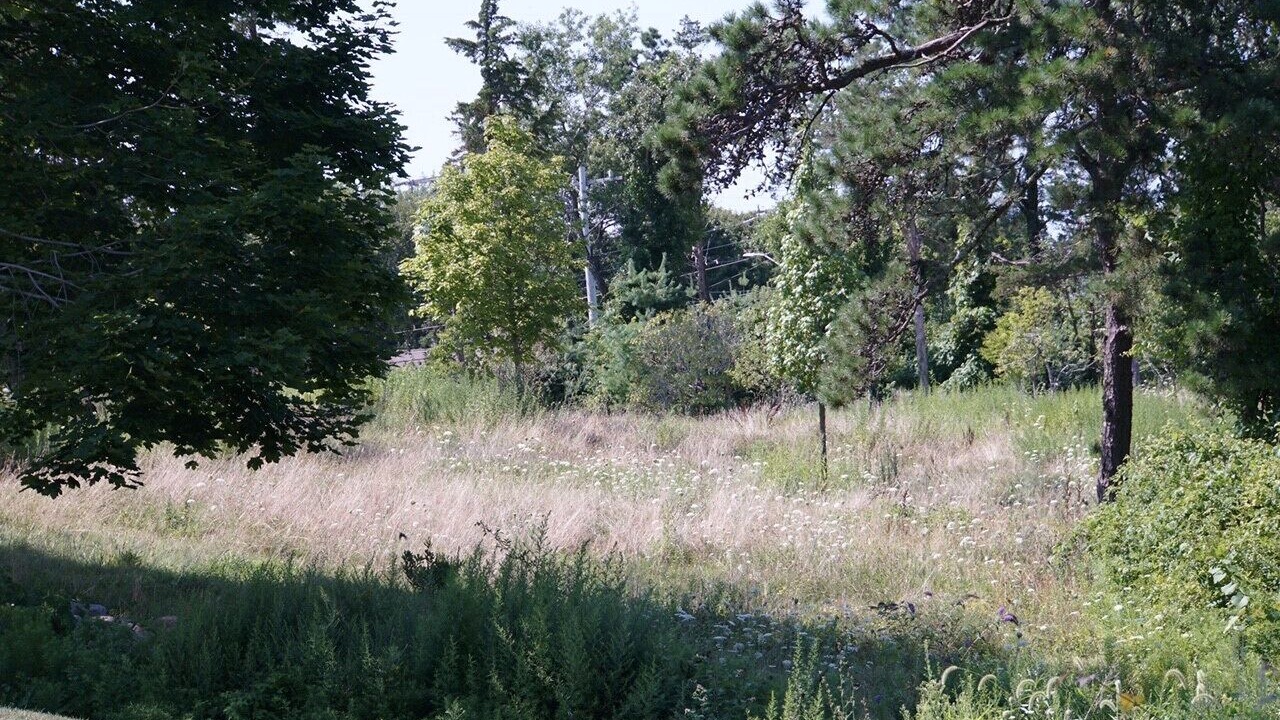 Photo of Outdoor in East Dennis