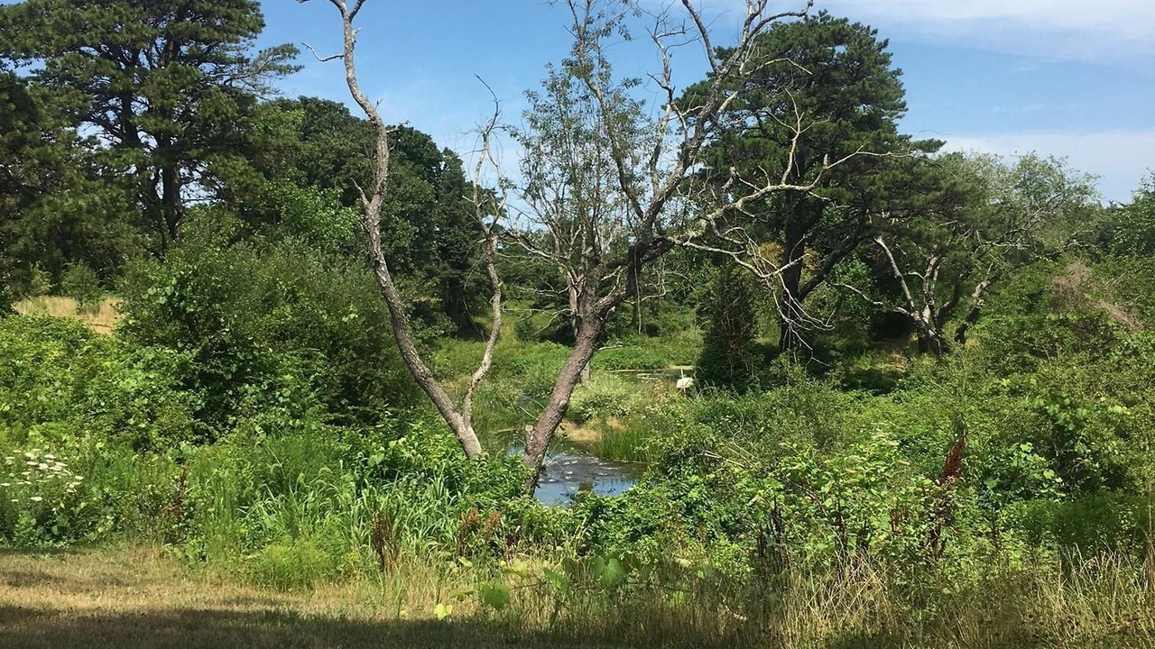 Photo of Outdoor in East Dennis
