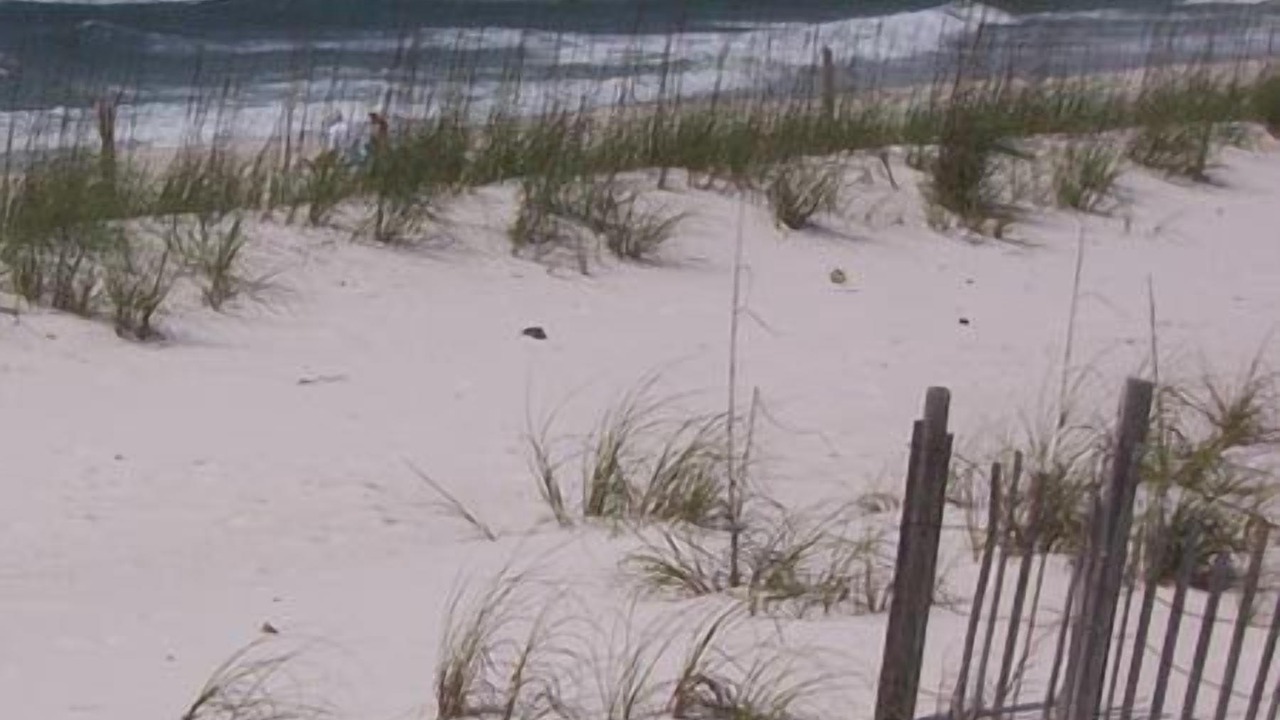Photo of Others in Navarre Beach