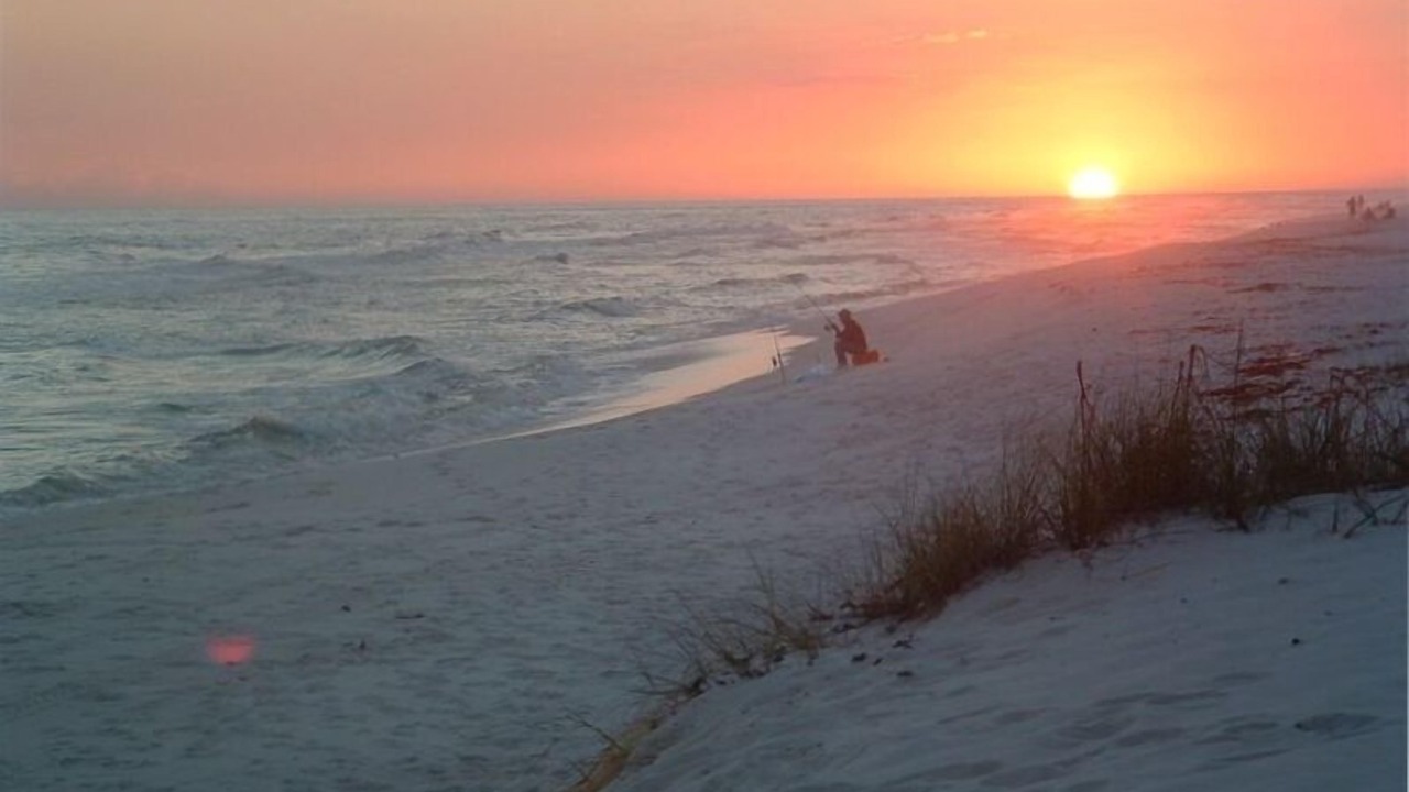 Photo of Others in Navarre Beach