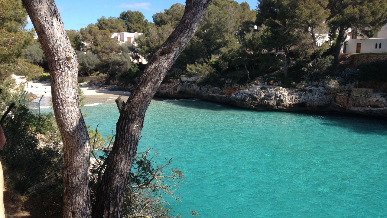 Photo of Others in Cala Serena