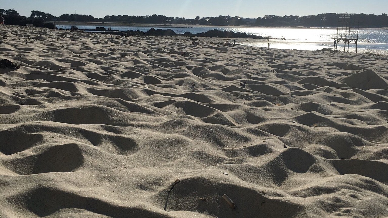 Photo of Others in Roscoff