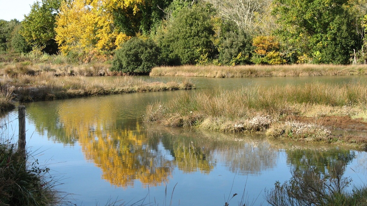 Photo of Outdoor in Arzon