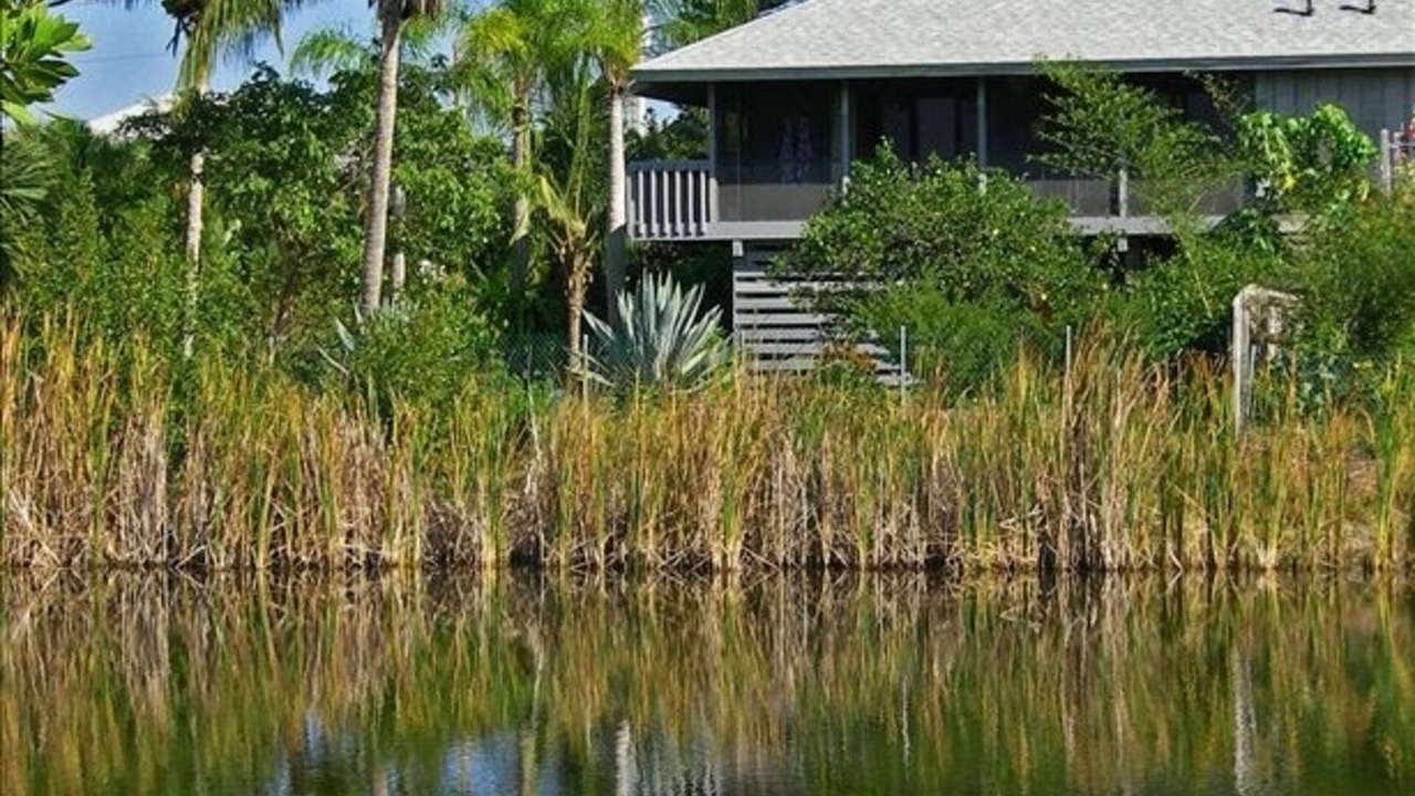Photo of Outdoor in Sanibel
