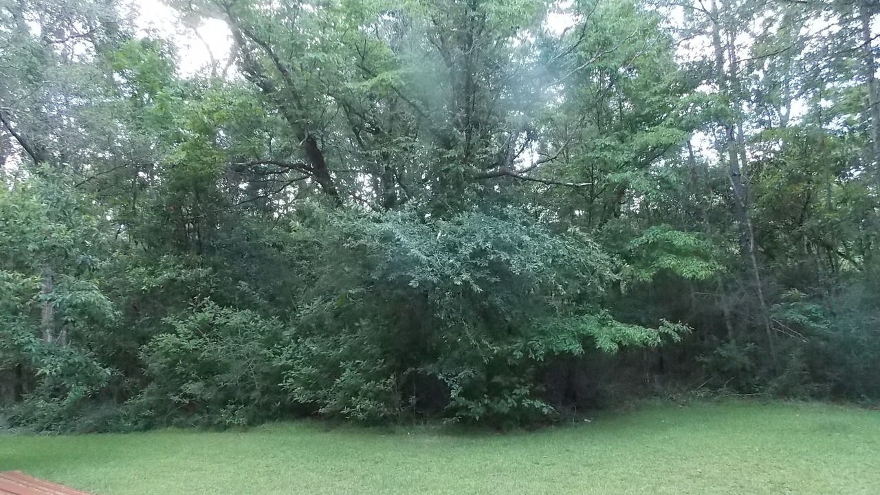 Photo of Others in Crawfordville
