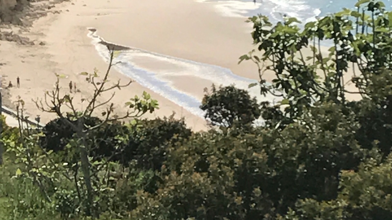Photo of Others in Porto de Mos