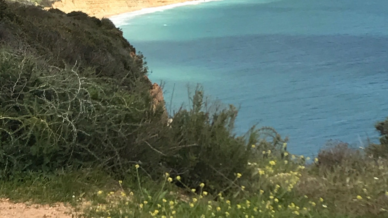 Photo of Others in Porto de Mos