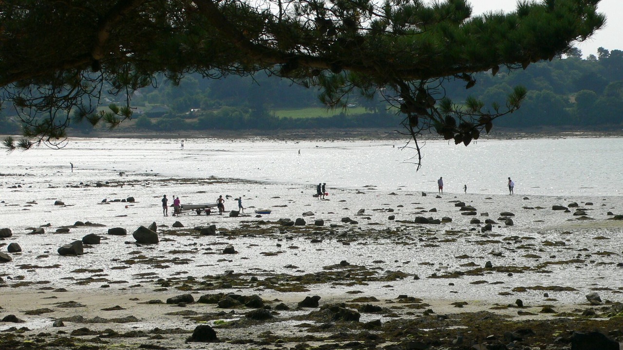 Photo of Others in Plougrescant