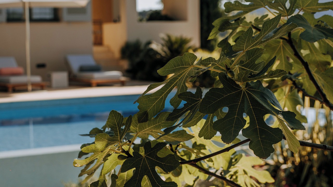Photo of Outdoor in Grimaud
