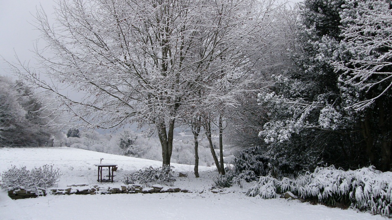 Photo of Outdoor in Leuhan